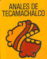 Anales de Tecamachalco